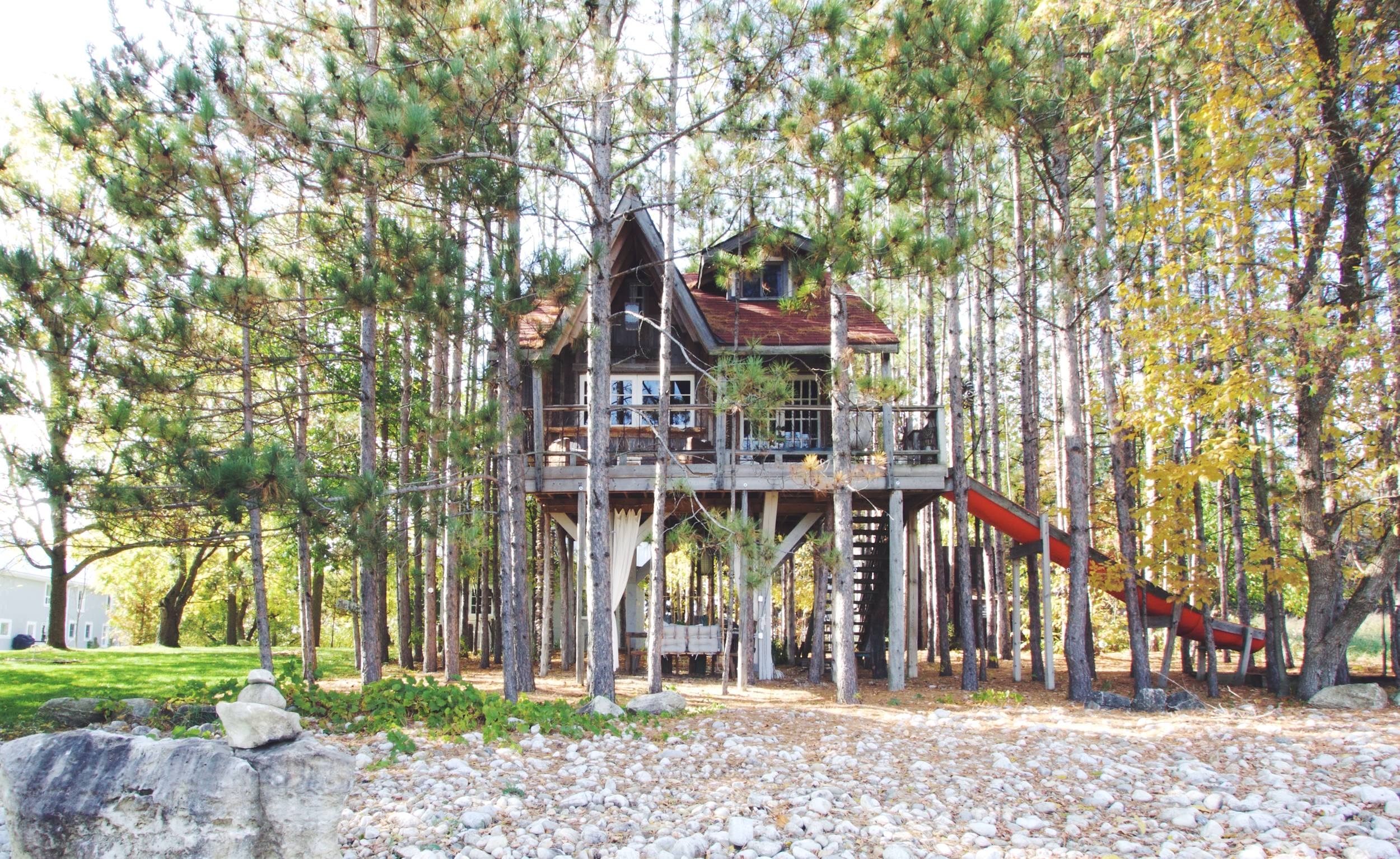 Everyone should have a treehouse | DESIGN THE LIFE YOU WANT TO LIVE
