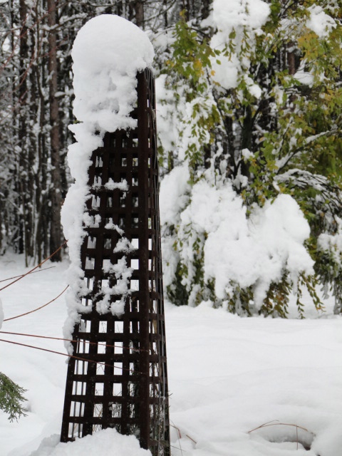 Pool entrance