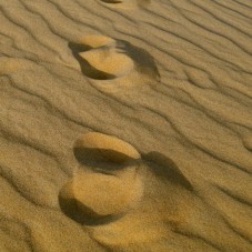 Sandy feet