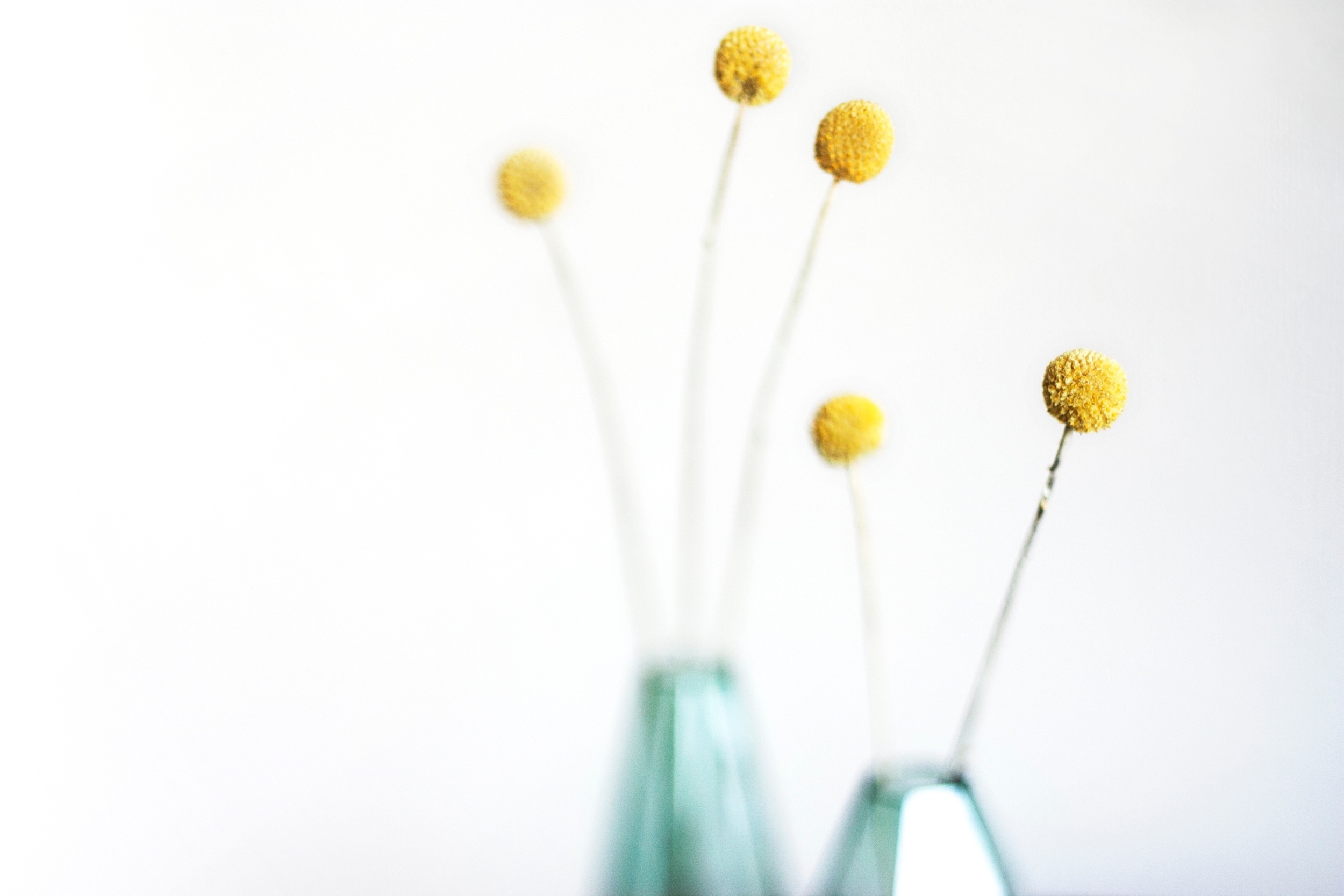 Get inspired with white design & paint ideas, here on the blog! DESIGN THE LIFE YOU WANT TO LIVE | Lynne Knowlton