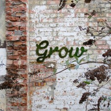 Green Moss Graffiti