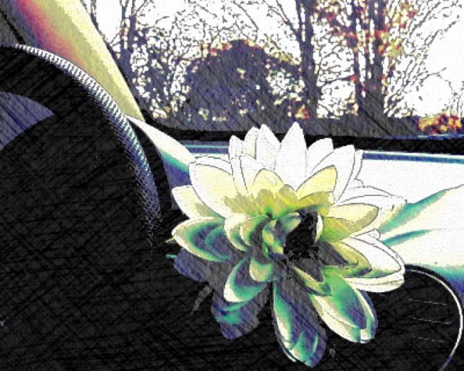 cartoonatic app used to create a sketched photo