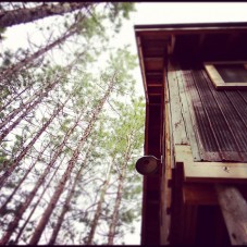 A room with a treehouse view