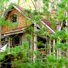 Kitchen 'pop out' in the treehouse