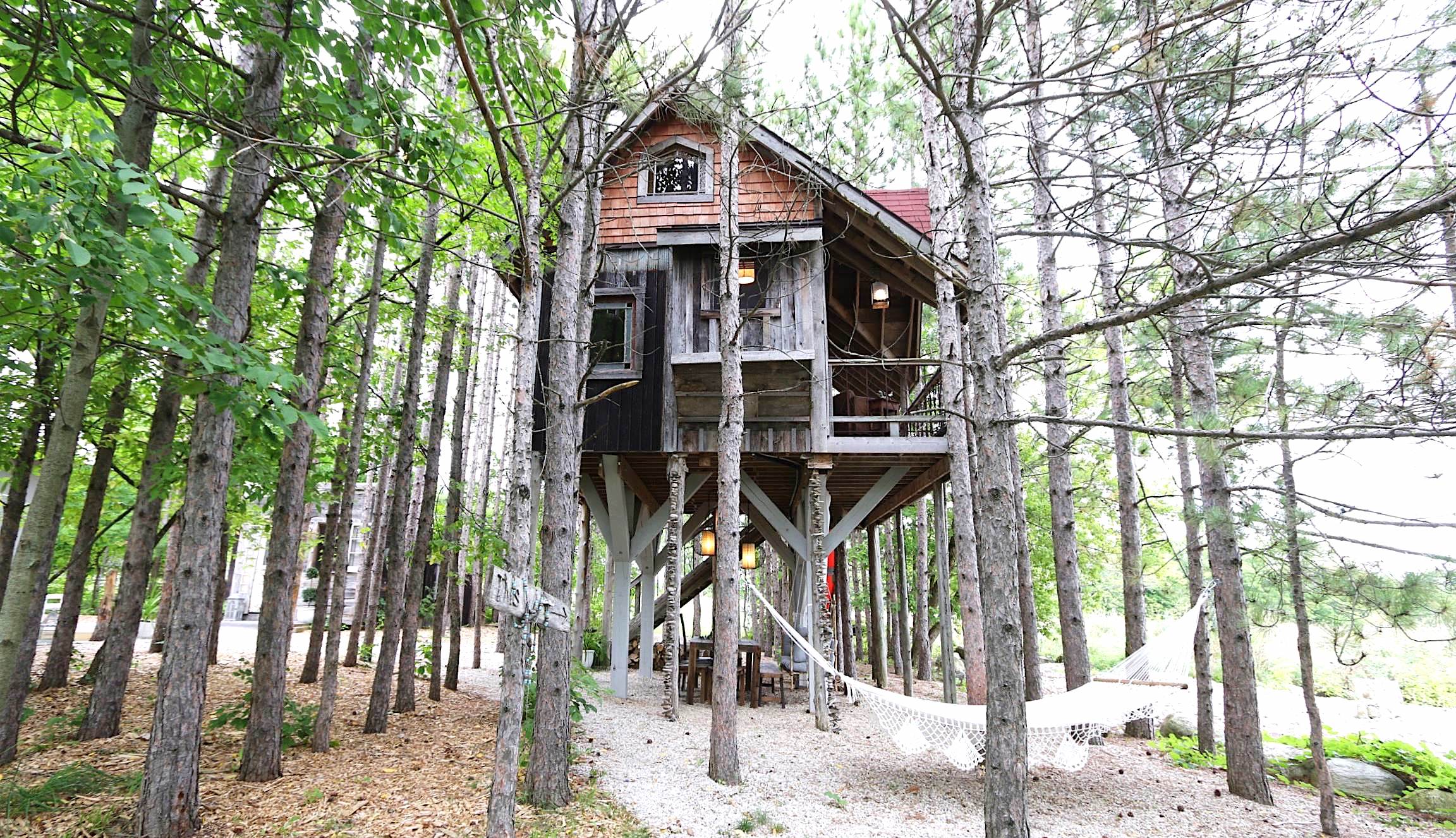 Treehouse + Squirrel = Trouble * CAPITAL T * Trouble.