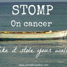 Stomp on cancer like it stole your wallet via @lynneknowlton #cancer #fightCANCER #believe
