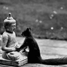 Dear Buddha, I want to have your peace,your wisdom, your serenity, your divine nature...your acorn hat.