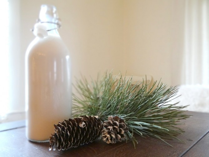 Homemade Baileys 