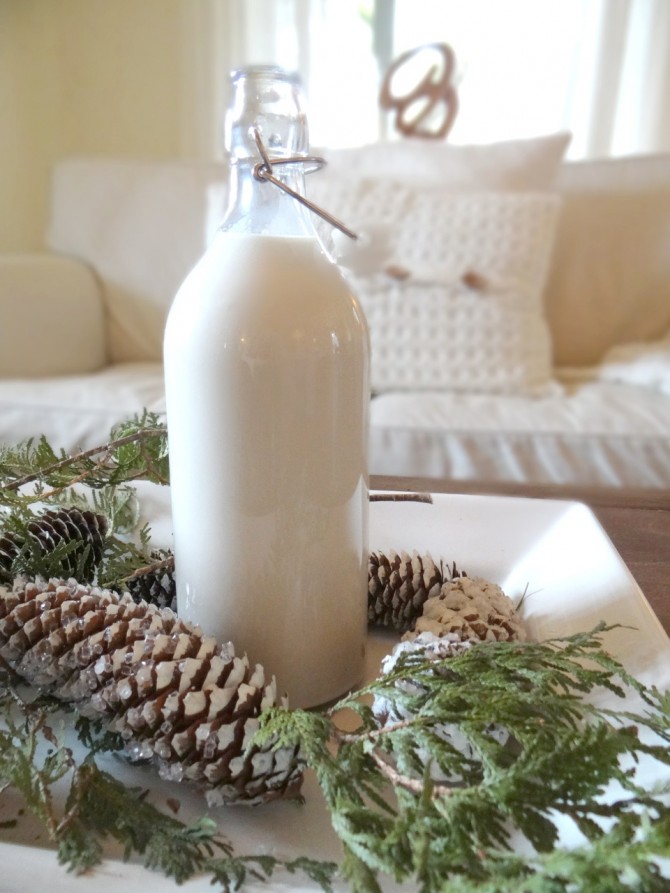 How to Make Baileys 