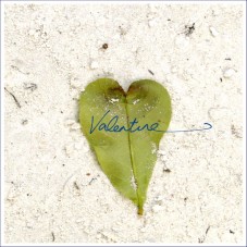 Sending out LOVE on Valentines Day and every day thereafter