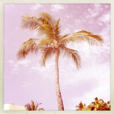 You are inspired by where you've been ... enjoy awesome instagram pix of Mexico here : www.lynneknowlton.com