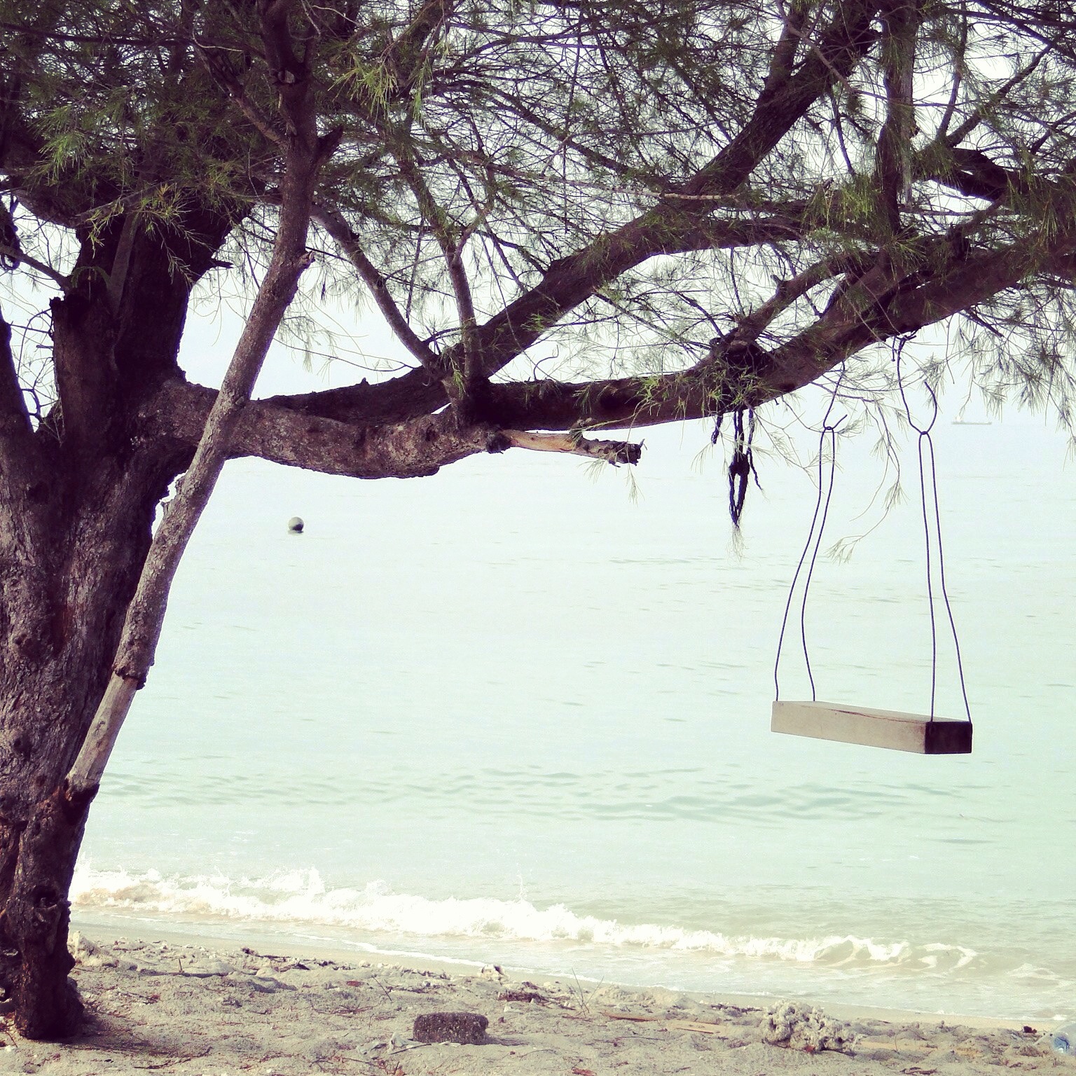 Everything is just better on a beach. Come enjoy it on DESIGN THE LIFE YOU WANT TO LIVE Everything is just better on a beach. Come enjoy it on DESIGN THE LIFE YOU WANT TO LIVE