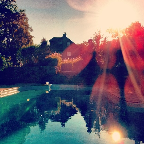Read some epic home ideas on the #blog http://lynneknowlton.com #beauty #love #happiness Read some epic home ideas on the #blog http://lynneknowlton.com #beauty #love #happiness