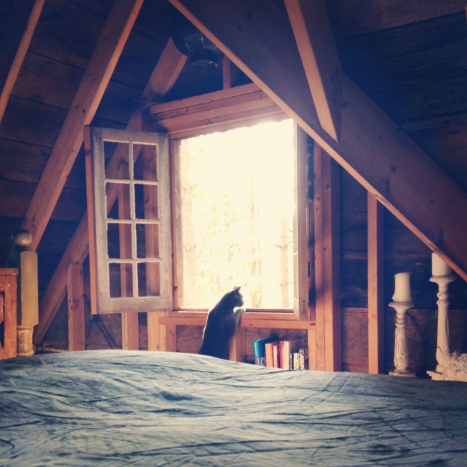 Do you work with a furry jerk ? Ha ! Have a laugh about it in the #treehouse and on the bloggy @lynneknowlton Design The Life You Want to Live Do you work with a furry jerk ? Ha ! Have a laugh about it in the #treehouse and on the bloggy @lynneknowlton Design The Life You Want to Live