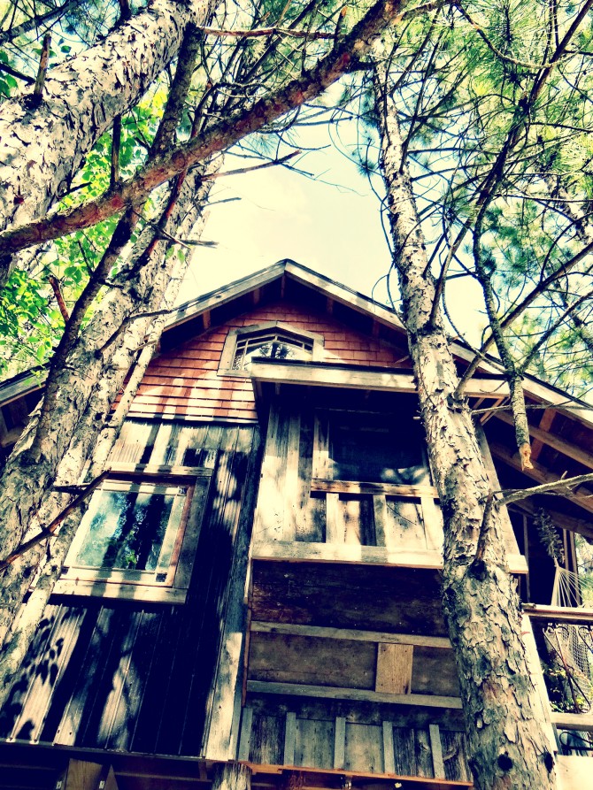 Do you work with a furry jerk ? Ha ! Have a laugh about it in the #treehouse and on the bloggy @lynneknowlton Design The Life You Want to Live #DIY #treehouse #office What does your work space look like? Do you #love it? Read more fun stuff on the blog about how to create a work space that you LOVE !! http://www.lynneknowlton.com/do-you-work-with-a-furry-jerk/