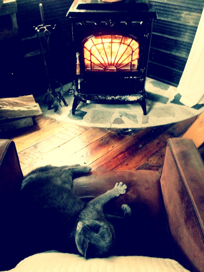 Do you work with a furry jerk ? Ha ! Have a laugh about it in the #treehouse and on the bloggy @lynneknowlton Design The Life You Want to Live The Queen of the #Treehouse Chair :) lazing by the fire. LOL.