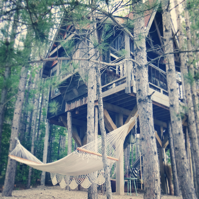 Do you work with a furry jerk ? Ha ! Have a laugh about it on the bloggy @lynneknowlton Design The Life You Want to Live #DIY #treehouse #office What does your work space look like? Do you #love it? Read more fun stuff on the blog about how to create a work space that you LOVE !! http://www.lynneknowlton.com/do-you-work-with-a-furry-jerk/
