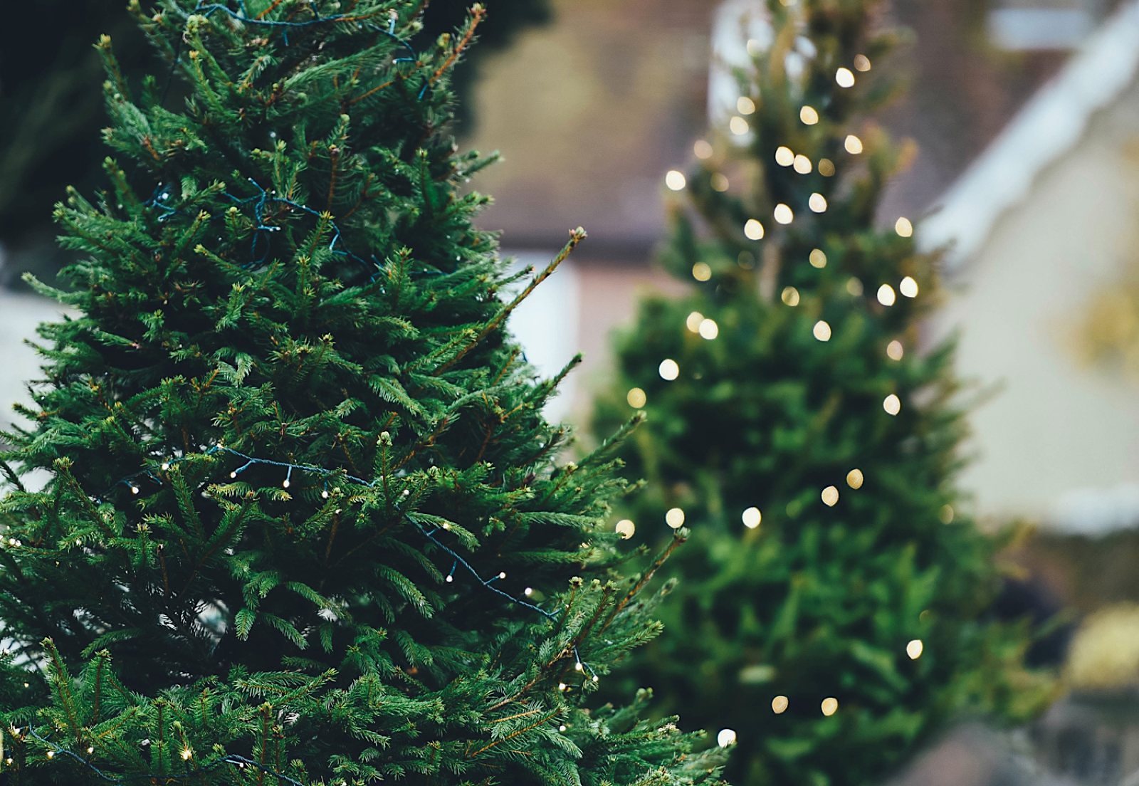 10 Ways to Know if You are in a Shopping Mall during Christmas season | DESIGN THE LIFE YOU WANT TO LIVE | Lynne Knowlton
