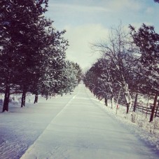 Canadian Winter: If winter had a face, I would punch it via @lynneknowlton #winter #snow #travel #beach #vacation