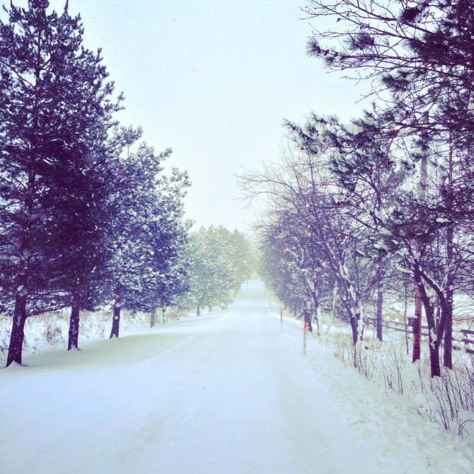 White Christmas in the driveway Wishing you a merry and bright WHITE #Christmas!