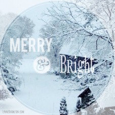 Wishing you a Merry and Bright Christmas !!