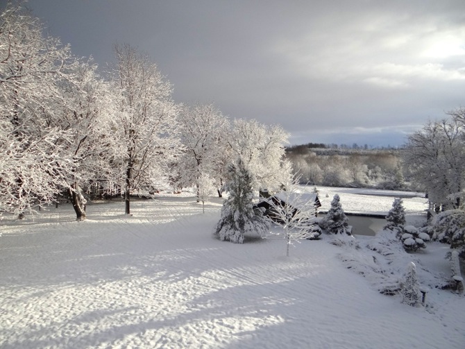 Merry Christmas and Happy Holidays ! Merry Christmas from Design The Life You Want to Live !