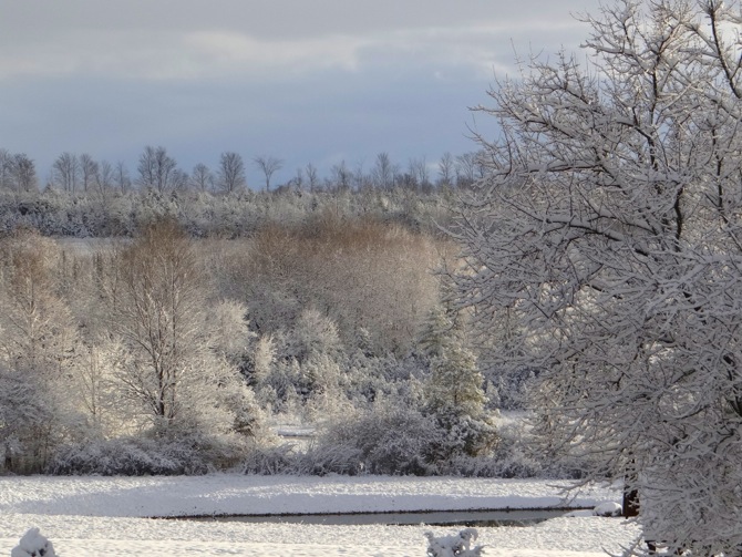 Tis the season to be jolly Wishing you a merry and bright WHITE #Christmas!