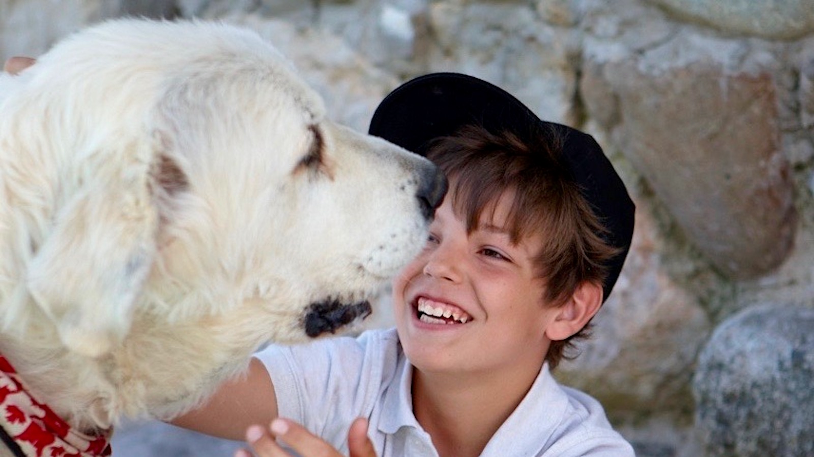 SAD: It's a dogs life. When your family pet dies. LOVE lived here. | DESIGN THE LIFE YOU WANT TO LIVE | Lynne Knowlton