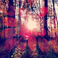 How to cheat the True- HDR Photo App
