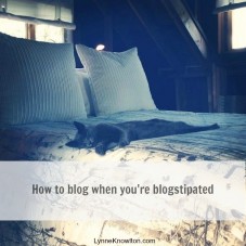 How to #blog when you're blogstipated http://www.lynneknowlton.com/how-to-blog-2/ #blogging #howto #inspiration via Design The Life You Want To Live