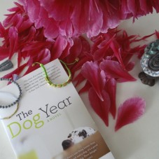 The Dog Year Ann Wertz Garvin