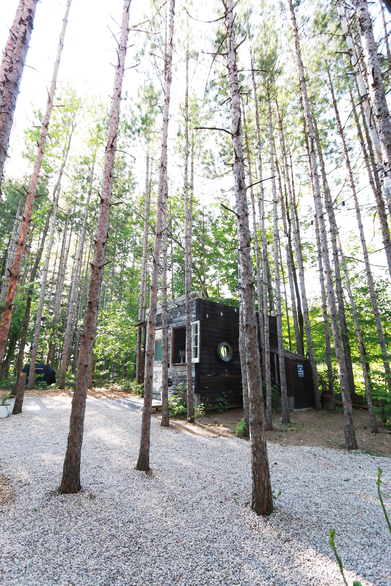 Tree House Bathroom the treehouse retreat bathroom photos | design the life you want Tree House Bathroom the treehouse retreat bathroom photos | design the life you want