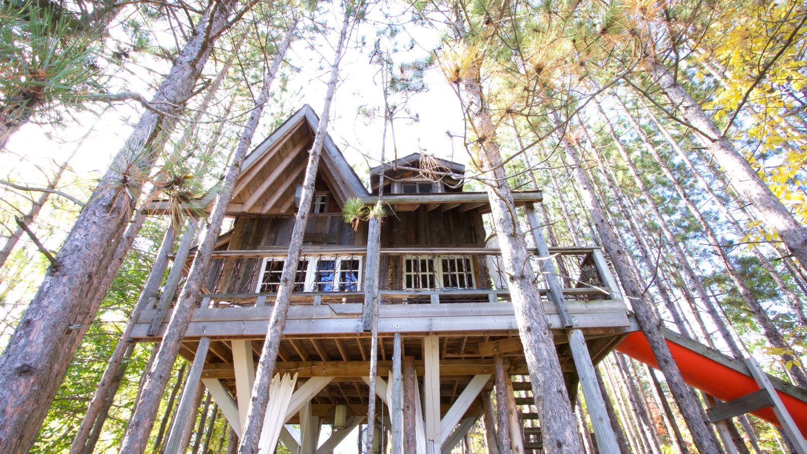 Airstream + Treehouse + Cancer = Wild ride of nuttiness | DESIGN THE LIFE YOU WANT TO LIVE | www.LynneKnowlton.com