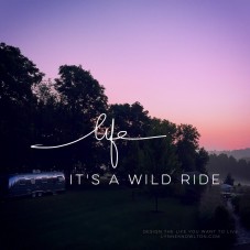 Airstream + Treehouse + Cancer = It's the wild wild west of nuttiness