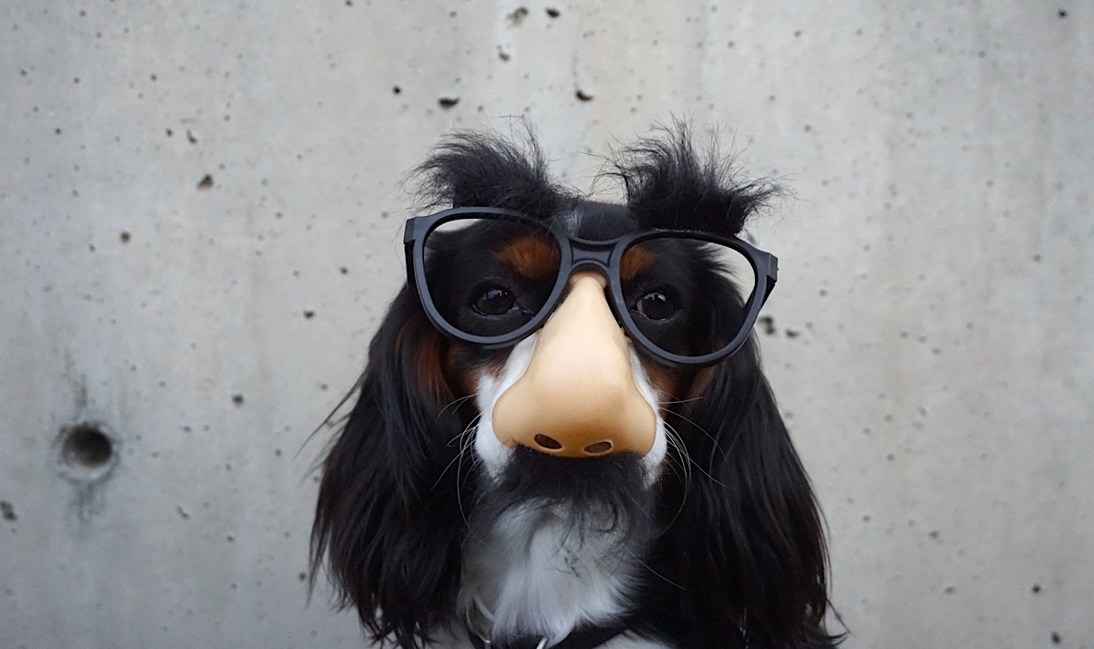 LYNNE KNOWLTON INTERVIEW: Blogging is like going on a blind date & the guy shows up wearing a toupee. Read more on DESIGN THE LIFE YOU WANT TO LIVE | @lynneknowlton