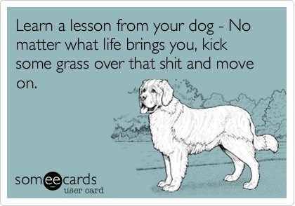 someecards how to make your own e cards in seconds and it s