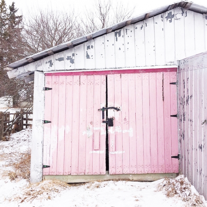 Barn love!