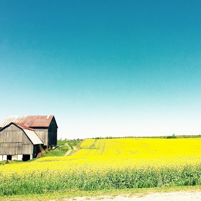 How to monetize your #instagram, grow your instagram following & create gorgeous photos! @lynneknowlton